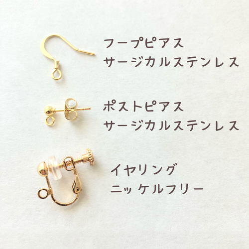 雪の結晶〉五角形 六角形 小枝アクセサリー ピアス イヤリング ピアス