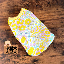 犬服　ダイヤモンド　振り袖　ハンドメイド Amazon.com: Zimal Diamond Embroidery DIY Diamond Paintings