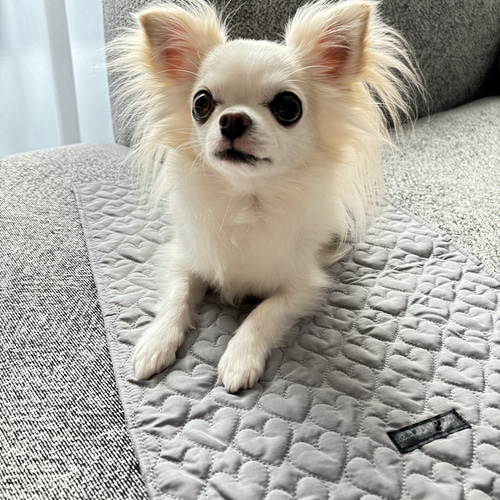 サイズオーダー可能です】シンプルカフェマット*ハートキルト グレー  