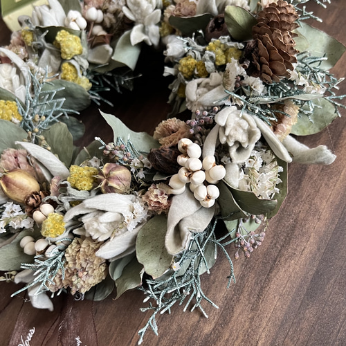 ラムズイヤー　ヘッド　ドライフラワー ラムズイヤー*ドライフラワー*70本 その他素材 FlowerCompanies 通販