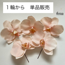 胡蝶蘭 単品 ソフトピーチ ピンク 1輪700円 本物と見間違えるような