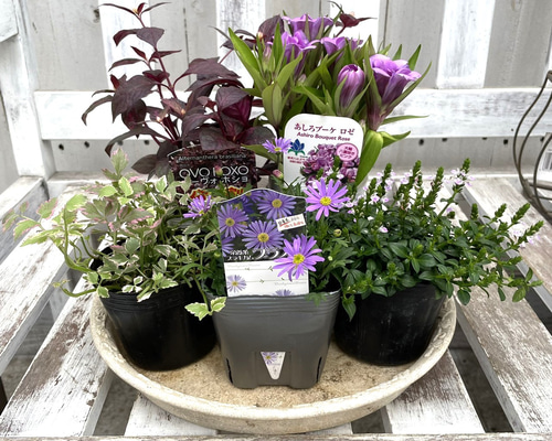 982609b5974f7e260196cf5f7041ac