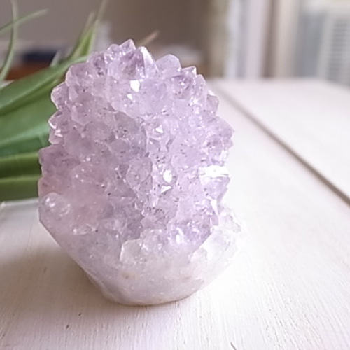 特大サイズ カクタスアメジスト 楽天市場】カクタス アメジストの通販