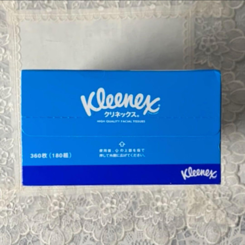 ボックスティッシュカバー ダルメシアン柄 ティッシュケース Romin