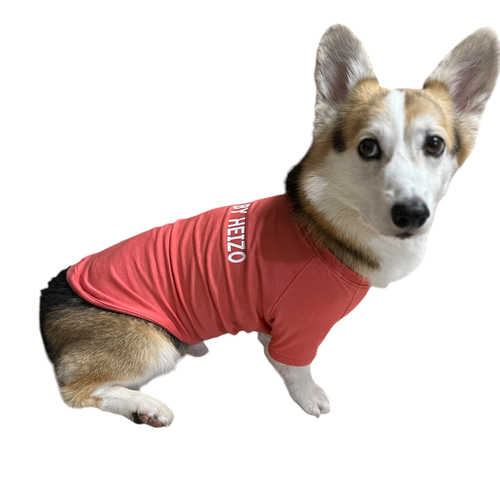 コーギー服 Tシャツ シンプル 犬服 ペット服・アクセサリー