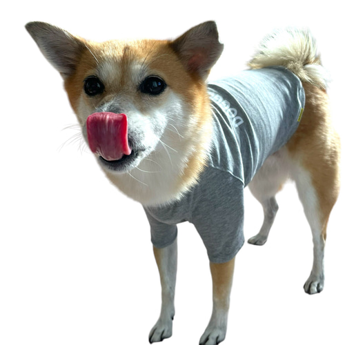 中型犬服 Tシャツ シンプル 犬服 ペット服・アクセサリー DOGGOS