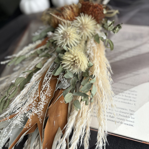 パンパスグラス・ドライアンドラ・フィリカ・かすみ草…ドライフラワー  