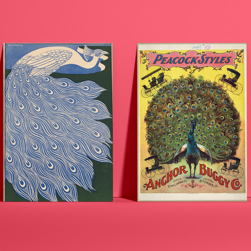 青色の孔雀アートポスターエキゾチックオリエンタルエスニック個性的