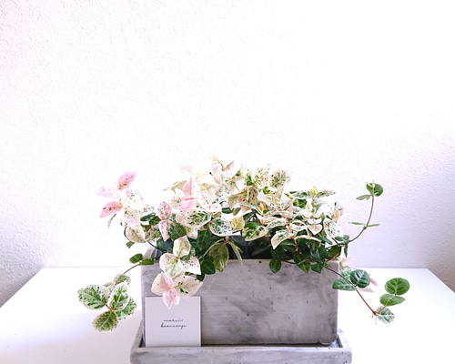 571c76db9b185e135396175afa0462