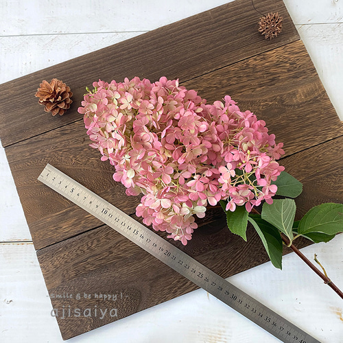 2024年産】秋色みなづきあじさい Lサイズ ドライフラワー 1本 群馬県