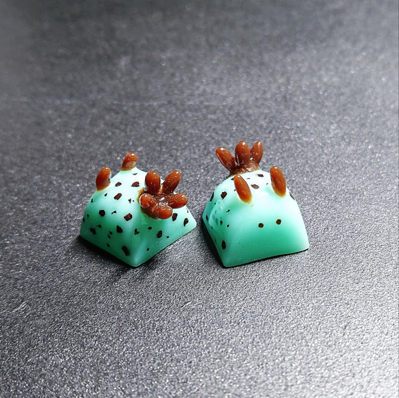 チョコミントウミウシキーキャップ その他雑貨 透明樹脂雑貨店 noix