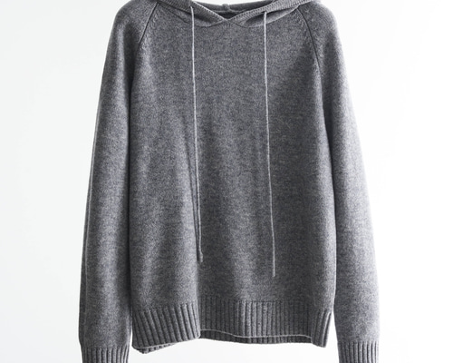 INSCRIRE フリース フーディー S グレー　ウール パーカー INSCRIRE（アンスクリア）中古・古着オンライン通販 | Kindal