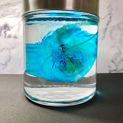 透明標本(アカエイ 全長約155mm) (通常品) その他インテリア雑貨