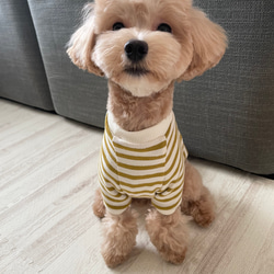 犬服！リボン刺繍ボア ピンク⭐︎XS.S.M.DXS.DS.DM ペット服