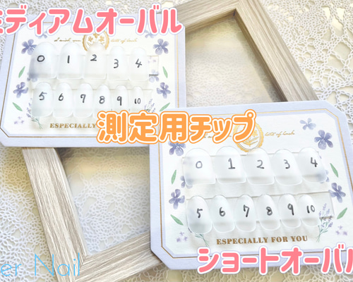 測定用ネイルチップ【オーダーページ】 サイズ測定用チップ ネイルチップ（つけ爪） Prier Nail 通販 18370653