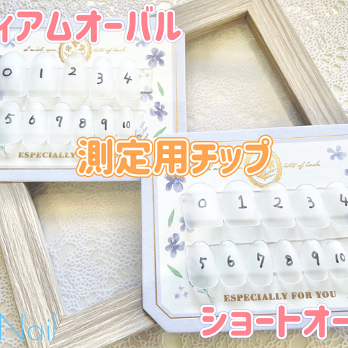 サイズ測定用チップ ネイルチップ（つけ爪） Prier Nail 通販 18370653