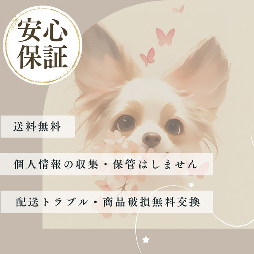 青と金 - イタリアングレーハウンド犬 No.1】イタグレ・ゴールド