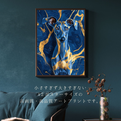 青と金 - イタリアングレーハウンド犬 No.1】イタグレ・ゴールド