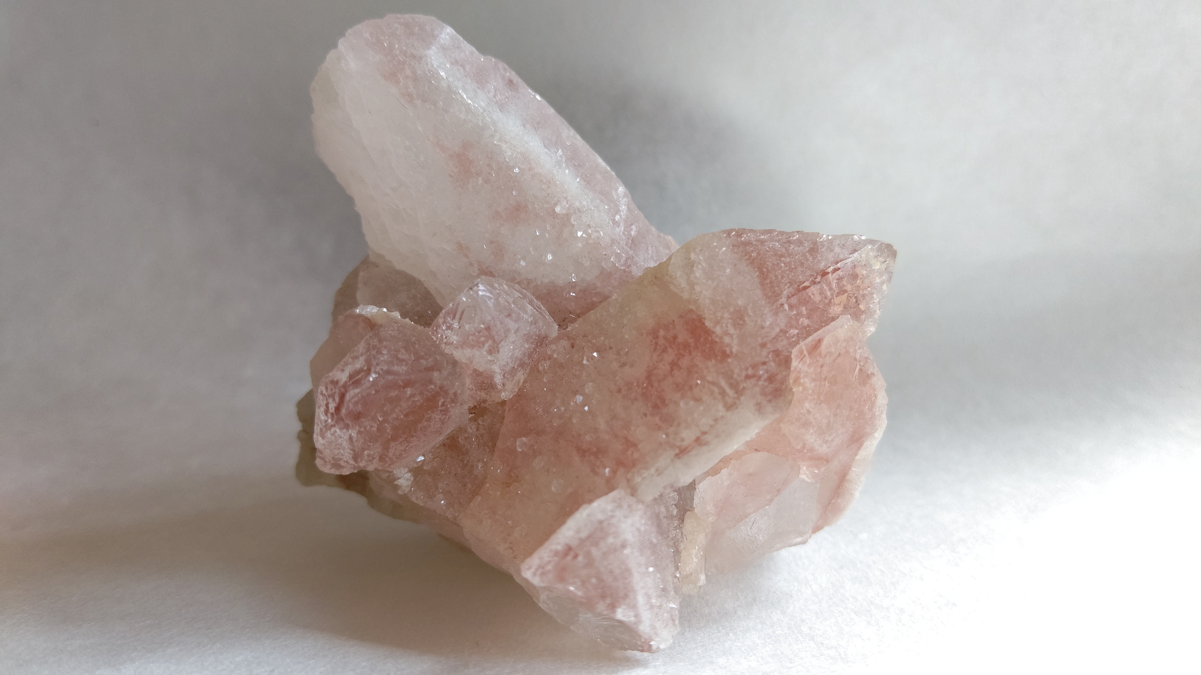 c.ドリームシクルレムリアン クラスター191g