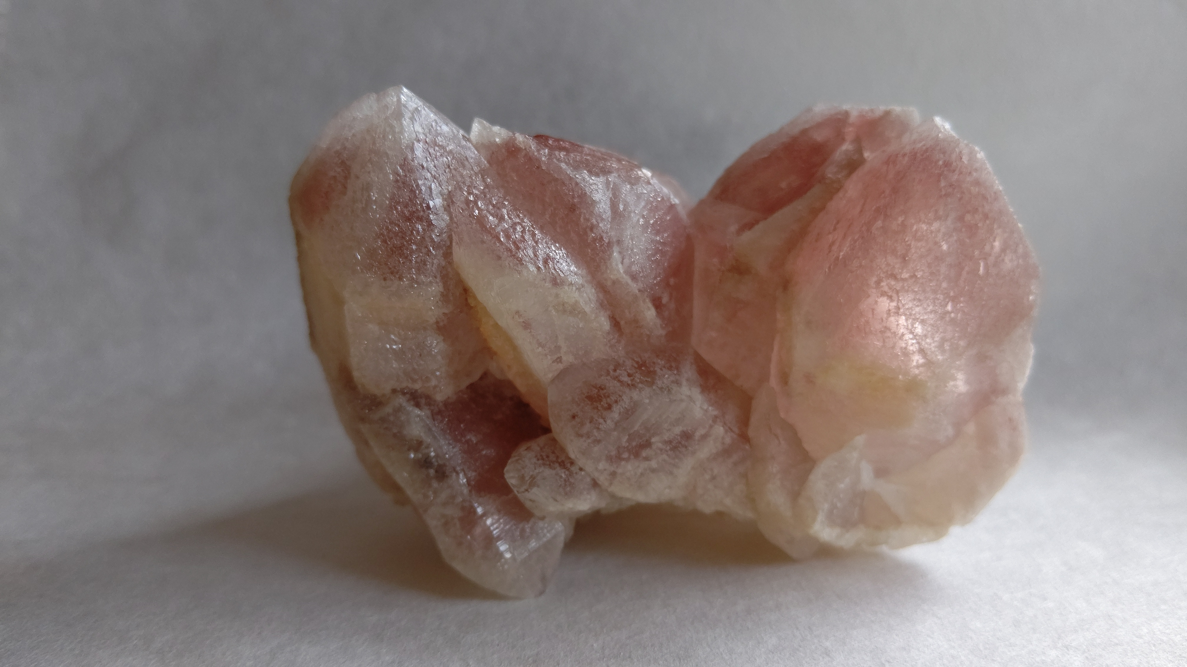 d.ドリームシクルレムリアン クラスター380g