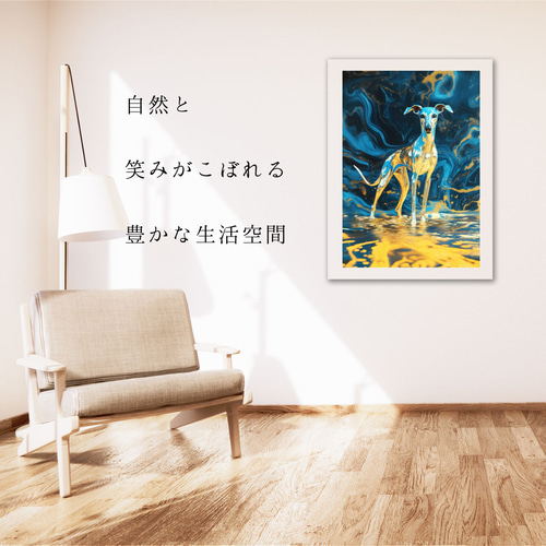 青と金 - イタリアングレーハウンド犬 No.3】イタグレ・ゴールド