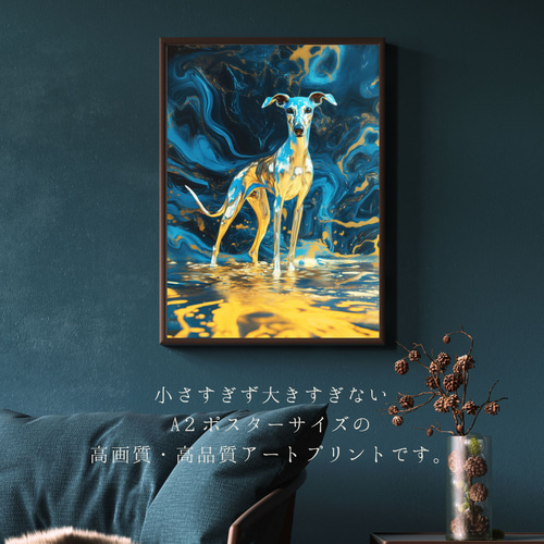 青と金 - イタリアングレーハウンド犬 No.3】イタグレ・ゴールド