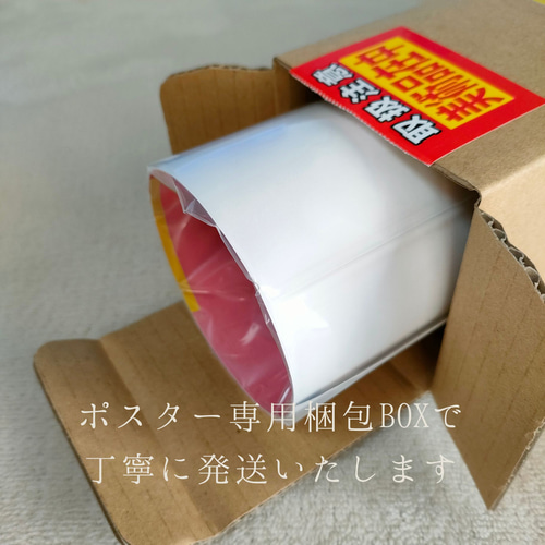 青と金 - イタリアングレーハウンド犬 No.3】イタグレ・ゴールド