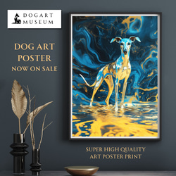 青と金 - イタリアングレーハウンド犬 No.3】イタグレ・ゴールド