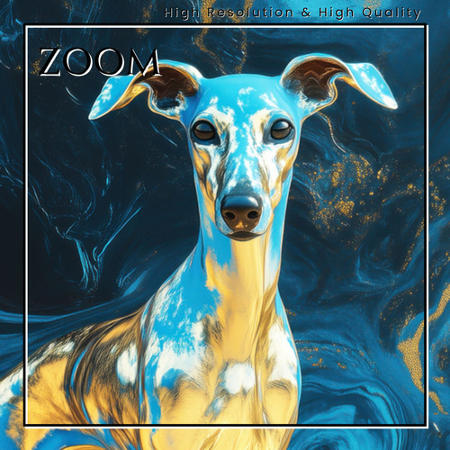 青と金 - イタリアングレーハウンド犬 No.3】イタグレ・ゴールド