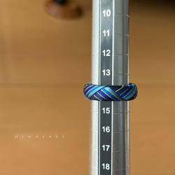  第2張的照片