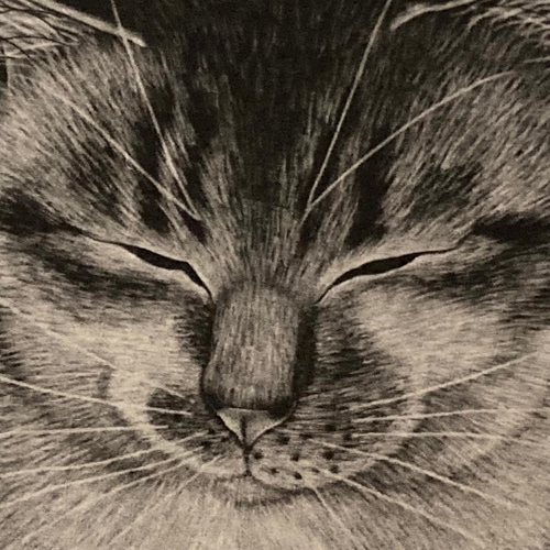 かわいい猫の絵　佐藤恵美 銅版画 猫版画 佐藤恵美 「My Time」月と猫 2/20 | 一丁目ねこ