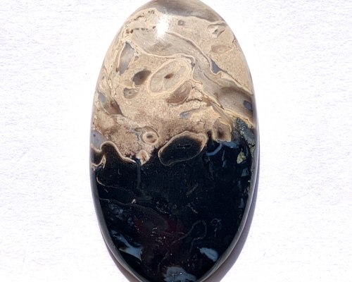 大きめハートのパームルート 大きめハートのパームルート 大きめハートのパームルート 2025年最新