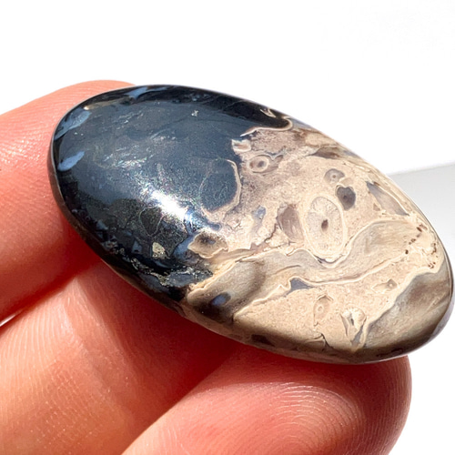 大きめハートのパームルート 大きめハートのパームルート 大きめハートのパームルート 2025年最新