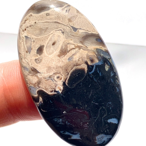 パームルート 龍亀 パームルートアゲート[53] 37x21mm 32Cts 天然石 ／ ルース