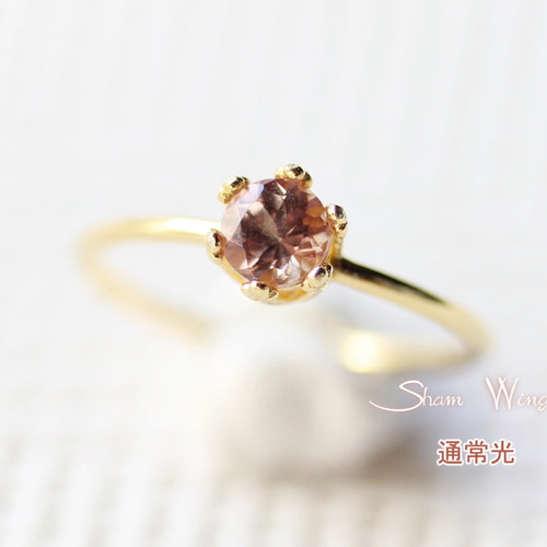 sawanobori_sar0193