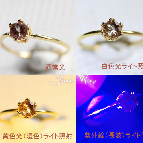 ドラゴンガーネットリング 商品詳細｜金沢市のジュエリー