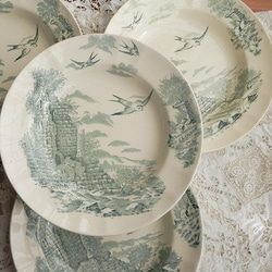 Choisy Le Roi ショワジー ル ロワ フランス アンティーク 大輪ばら