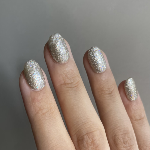 砂漠 ネイルチップ ロングネイル】スモーキーニュアンスとリングネイルチップ(Ⅼ05