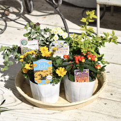 fa0222e5031d702039fa7b404ca8d4