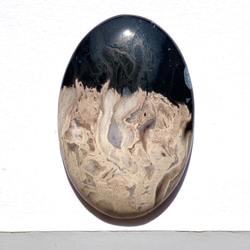 パームルートアゲート[59] 38x25mm 41Ctss 天然石 ／ ルース