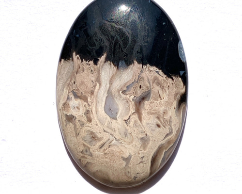 パームルートアゲート[59] 38x25mm 41Ctss 天然石 ／ ルース