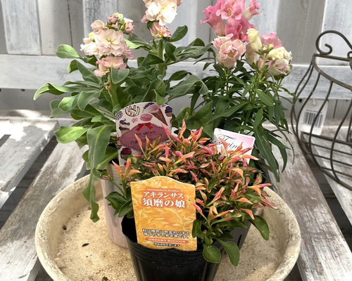 6087fa588dfd8b6ceff458583bf0c8