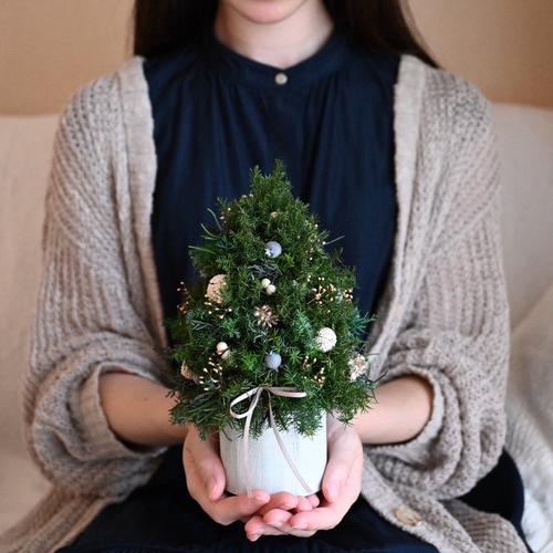 北欧の森ミニツリー23cm＊プリザーブド&卓上サイズツリー プリザーブド