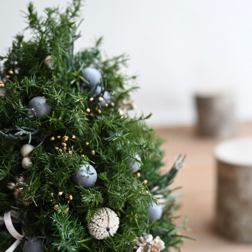 北欧の森ミニツリー23cm＊プリザーブド&卓上サイズツリー プリザーブド