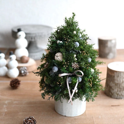 2a94292ac0e78a2134050b317f46c5