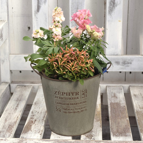 ☆３色３鉢セット☆華やかに長く楽しむ寄せ植え☆花☆ 楽天市場】【誕生日】【ギフト】 【年末年始用】ボリュームあるL