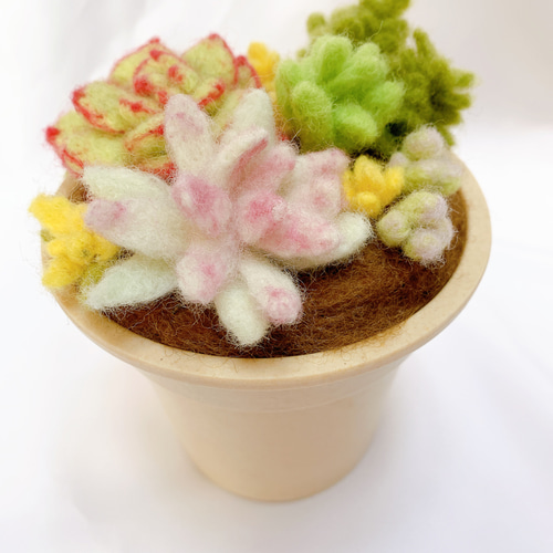 羊毛フェルトのふわふわ多肉植物寄せ植え 羊毛フェルト めぇ～ぷるふぁ