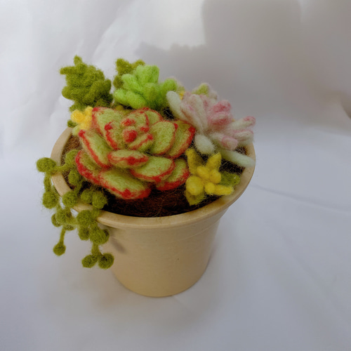 羊毛フェルトのふわふわ多肉植物寄せ植え 羊毛フェルト めぇ～ぷるふぁ