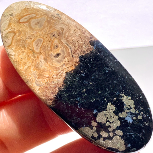 マーキス型のパームルート マーキス型のパームルート