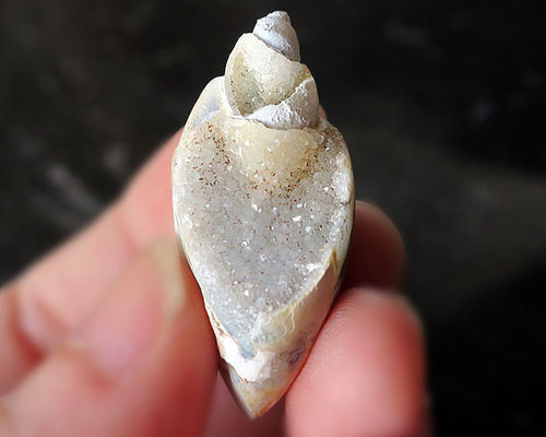 スパイラライト（Spiralite Fossil Shell） 天然石原石 スパイラライト（Spiralite Fossil Shell） 天然石原石【新商品